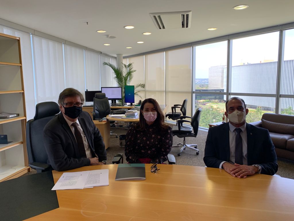 Novo código eleitoral: ofício entregue à relatora aponta vício de iniciativa