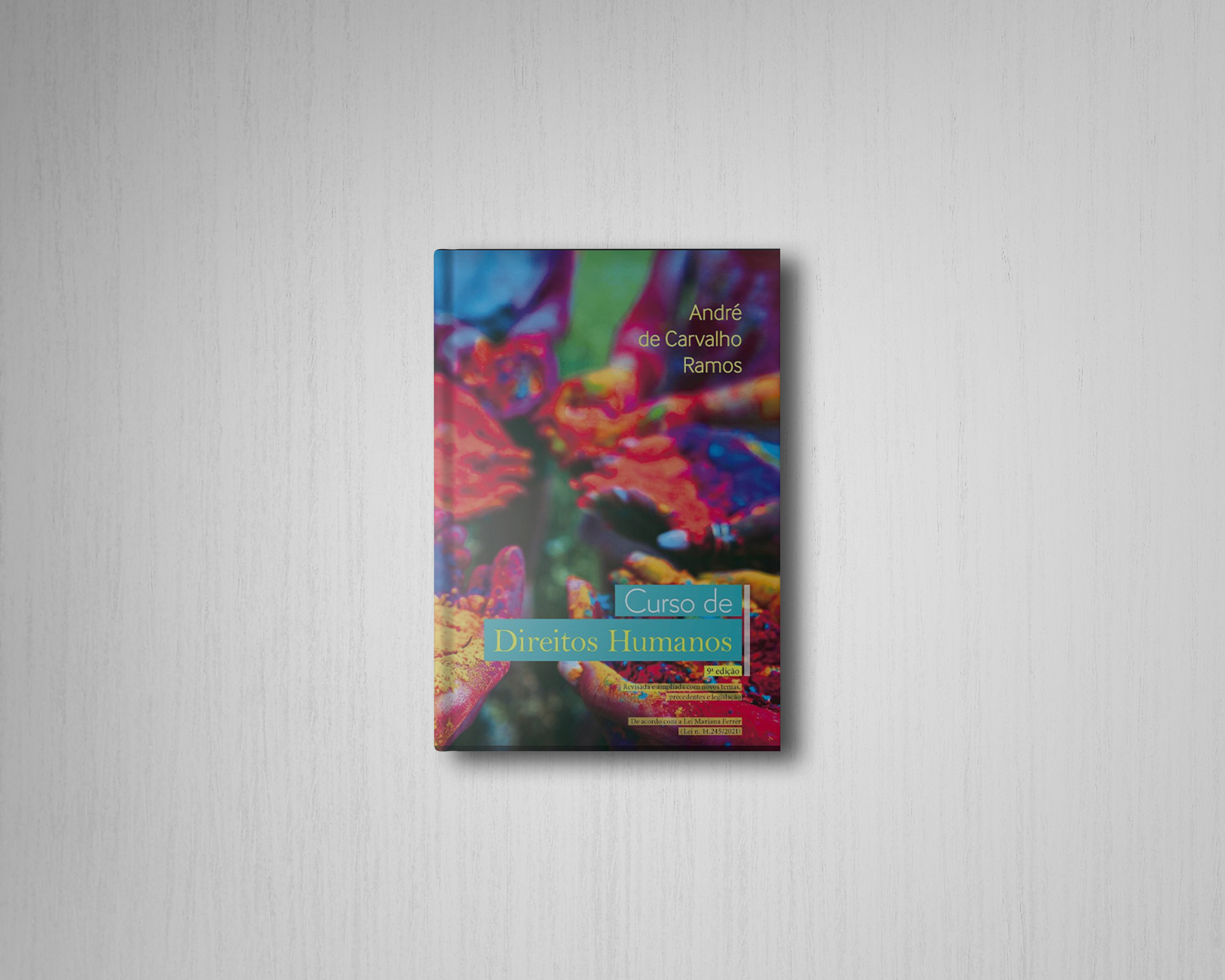 Livro Curso de Direitos Humanos tem edição atualizada