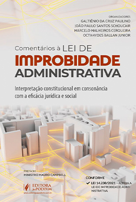 Comentários à Lei de Improbidade Administrativa: interpretação constitucional em consonância com a eficácia jurídica e social