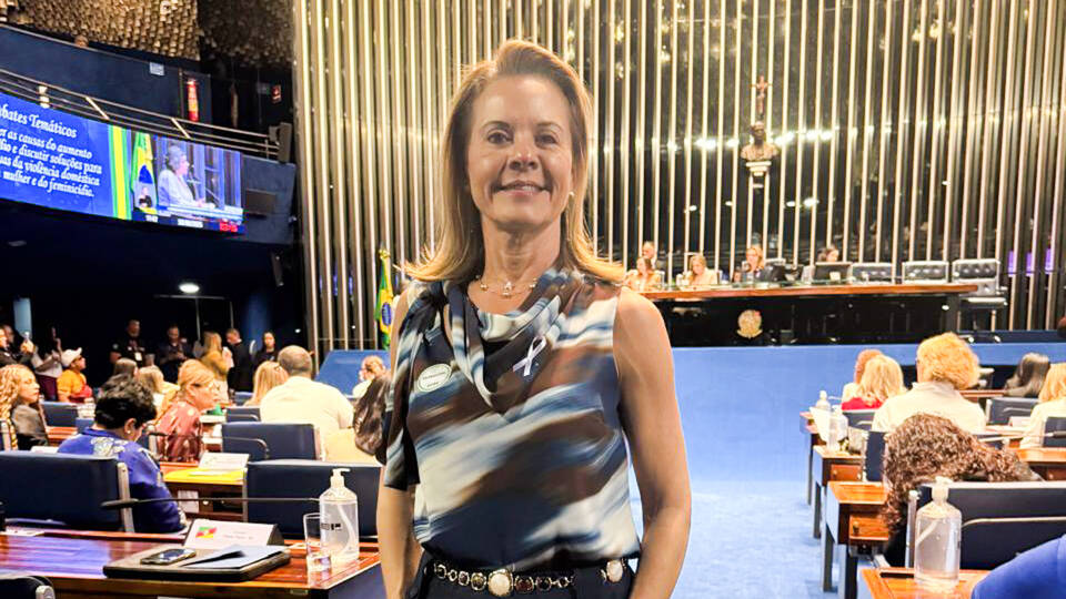 Agosto Lilás: ANPR Mulheres apresenta trabalho da Comissão e participa de debate no Senado sobre combate ao feminicídio