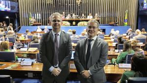 07-11-40-anos-anadep-site-02