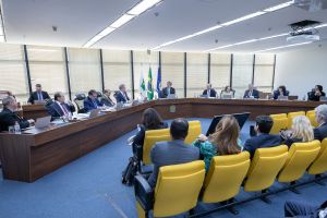 53909275477_00e9789c87_o