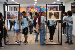 54041295650_a011e6ca7c_k