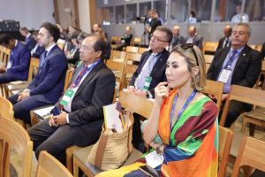 54084641382_267ff79a88_k