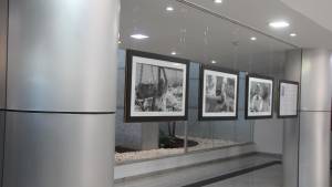 0625-lgbt-justica-anpr-site_3_original