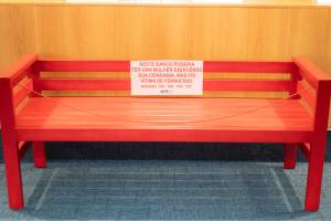 0820-agosto-lilas-anpr_2_original