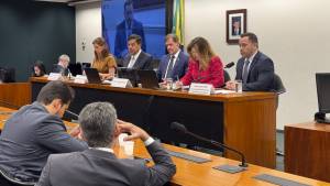 11-13-Comissao-Seguranca-Publica-Camara_6_original