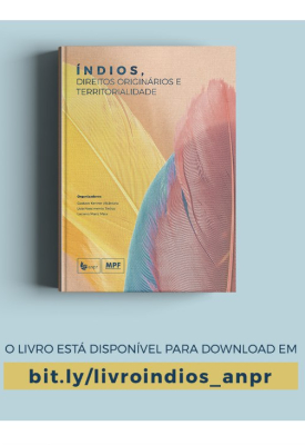 Livro - Índios Direitos Originários e Territorialidade